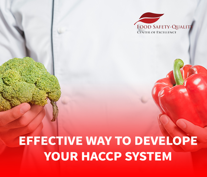 Effective Way To Develop Your HACCP System Surabaya